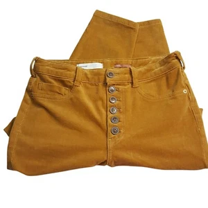 Pilcro Anthropologie Corduroy HiRise Skinny 6 Button Fly Gold Sz 26 - Picture 1 of 6