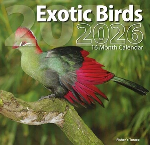 Calendario de pared 2026 aves exóticas 16 meses (septiembre 2025 hasta diciembre 2026) 12"x12" - Imagen 1 de 2