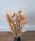 24 Stems Dried Natural Pampas Grass Reed Flowers Approx 60cm Length
