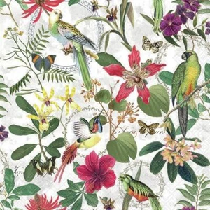 PAPER NAPKINS PK20 BIRDS AND FLOWERS MADE IN GERMANY 3PLY AMB - Picture 1 of 2