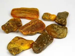 Lot of 8 Baltic Amber Stones 25gr Multicolor Brown Green Black Natural 6634 - Picture 1 of 7