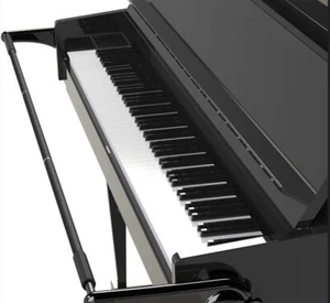 NUEVO *SOLO* Corrector de Manos de Piano Profesional NEGRO Envío Gratuito Venta Final - Imagen 1 de 3