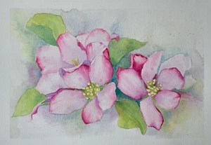 Original watercolour painting flowers. Apple Blossom. Malgorzata Lis. COA - Picture 1 of 2
