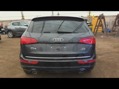 Manija de puerta del conductor exterior VIN Fp séptimo y octavo dígito compatible con 09-17 AUDI Q5 6653337 Foto 1 de 4