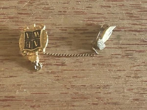 American Businesswomen Lapel Pin ABWA Sweater Pin With Chain Small Hand Torch - Picture 1 of 12