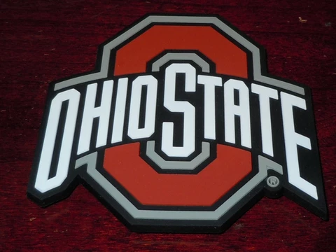 NCAA Vtg OHIO STATE BUCKEYES Large RUBBER BIG 10 FRIDGE MAGNET Standings Board Cover