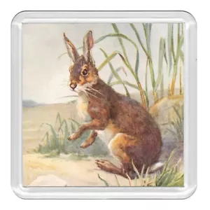 Hare Wildlife  Nature Acrylic Coaster Novelty Drink Cup Mat Great Gift - Picture 1 of 1