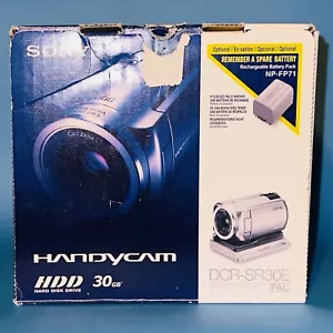 Sony DCR-SR30E Handycam HDD Night Shot! Retro Vibes Easy Import - Picture 1 of 10