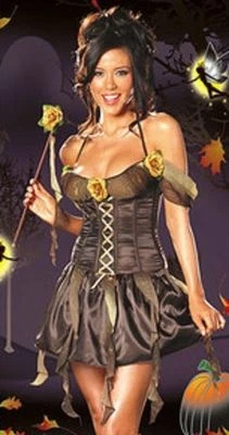 Dreamgirl 4520 Sexy Adult Sexy Forest Nymph Fairy Sprite Costume various sizes - Image 1 of 3