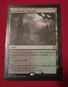MTG | Woodland Cemetery | Dominaria | Magic the Gathering | NM - Picture 1 of 1