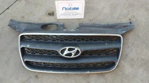 GRIGLIA MASCHERINA ANTERIORE HYUNDAI SANTA FE 2006/2009 - Imagen 1 de 4
