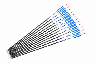31" Sports Archery Blue Turkey Feathers Carbon Arrows Spine 500 F Bow Hunting - Image 1 of 4