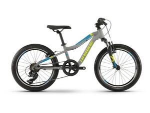 HAIBIKE SEET Greedy 20 Zoll SF 7-Gang Kinderrad RH26 grau-lime | 4100012926