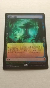 Zendikar Dawn Mist Rainforest Japanese Foil Mythic Land C19 - Picture 1 of 2
