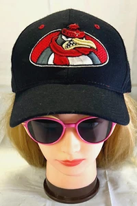 Youngstown State University YSU Penguins NCAA Men's Fitted Hat Size 7 Zephyr - Picture 1 of 7