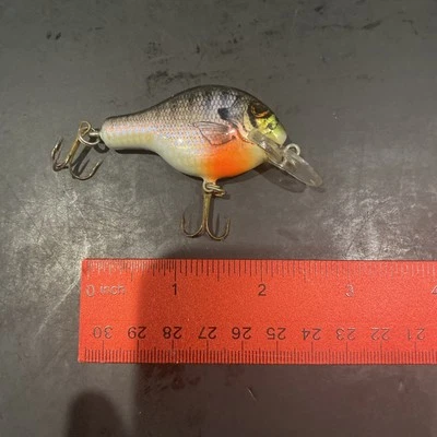 Bagley Small Fry Bream BR4 Bream On White Foto 1 de 4