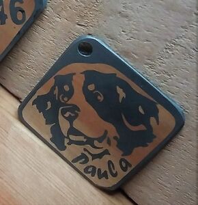 Marka psa stal nierdzewna 30 x 30 mm, GRAWER z logo rasy psa, imię, tel. 9 gramów