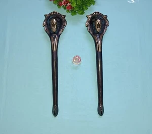 14.7" Inch Roaring Lion Door Handle Pair Brass Jungle Beast Door Grab Pull DM009 - Picture 1 of 10