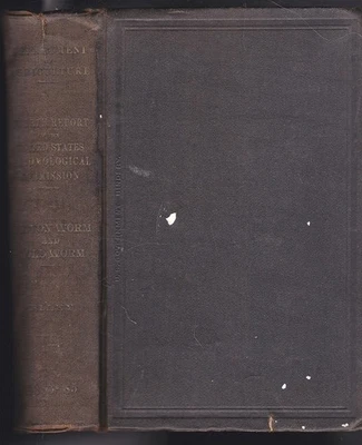 1885 USDA Entomological Report Cotton & Boll Worm Color Plates Illustrations - Image 1 of 4