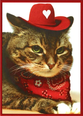 Cat With Cowboy Hat & Bandana Funny Valentines Day Card Foto 1 de 2