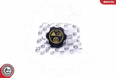 Tappo, serbatoio refrigerante per CHEVROLET OPEL SAAB 9-5 ADAM AMPERA ASTRA ASTR - Imagen 1 de 2