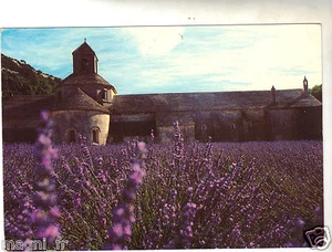 La lavande en fleurs   .....    (Ref. H5438) - Imagen 1 de 1