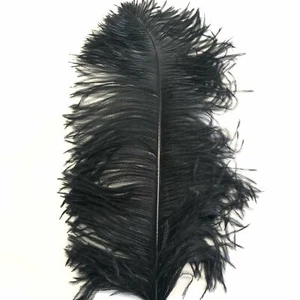 Plumas de pluma de ala de avestruz 60-65 cm (24-26") - negras - Imagen 1 de 3