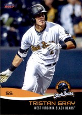 2017 West Virginia Black Bears Choice #12 Tristan Gray Missouri City Texas Card