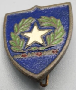 WWII Theater Made 36th Infantry Regiment HQ Headquarters DI Unit Crest Pin RARE - Picture 1 of 2