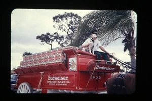 4 35mm Slides 1975 Budweiser Clydesdale Horses Brewing Advertising Color - Bild 1 von 5