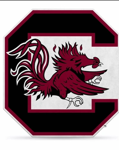South Carolina Gamecocks 18" Primary Logo Pennant Soft Felt Cover