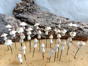 30 pcs Mushrooms Miniature Clay Figurine Handmade Fairy Home Garden Decor Gift - Picture 1 of 13