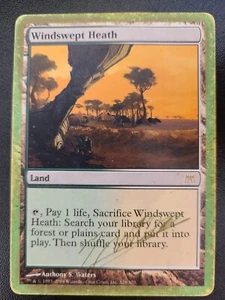 Windswept Heath PL World Championship MTG Magic the Gathering Land English Card - Picture 1 of 3