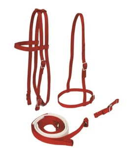 RACE BRIDLE SET RACEHORSE - Picture 1 of 12