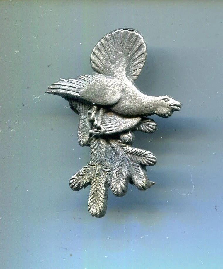 Jagd Förster Rebhuhn  Auerhahn - Bild 1 von 2