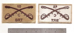 #216B US ARMY  10/C CAVALRY PATCH BIRAGE REACTION TEAM - Picture 1 of 1