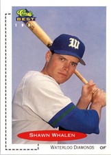 1991 Classic/Best #337 Shawn Whalen