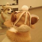 Cute Dog Hat Thickened Flip Ear Cap 2023 Dog Headdress  Pet