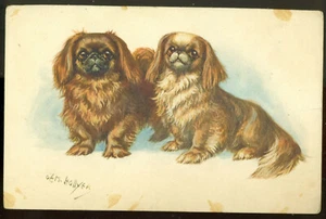 St.Z.F. Switzerland Artist O.E.M HOLLYER No.156 Pekinese Dogs Pekingese Postc. - Picture 1 of 2