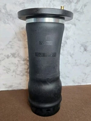 Muelle de suspensión neumática trasera para Land Rover Discovery II 1998-2004 RKB101200  Foto 1 de 4