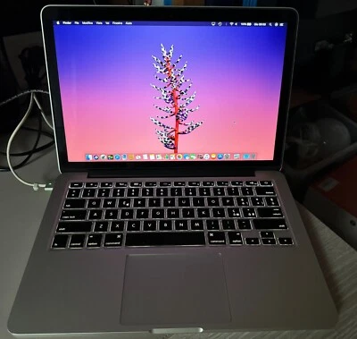 Apple MacBook Pro Retina Core i7 3.0 13" Early 2013 A1425 8Gb 500Gb SSD - Immagine 1 di 4