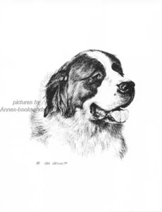 #2 SAINT BERNARD portait dog art print * Pen and ink drawing * Jan Jellins - Picture 1 of 1