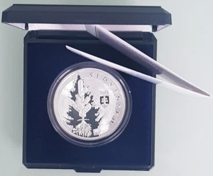 MDS SLOWAKEI SLOVAKIA 10 EURO 2024 PROOF "GEB. JOZEF DEKRET MATEJOVIE", SILBER - Bild 1 von 4