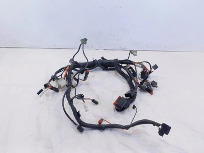 Arnés de cables carenado delantero Harley Davidson Screamin Eagle CVO Electra Glide Foto 1 de 4