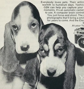 Yashica Camera Basset Hound Dog Ad Advertising Advertisement Information Vintage - Picture 1 of 3