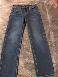 Gap Denim Jeans Boys Youth Size 12 Regular Original Adjustable waist - Picture 1 of 5