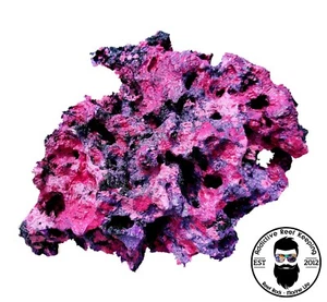 ARK Ocean Dreams Dry Reef Rock Aragonite, Aquariums Live - Picture 1 of 2