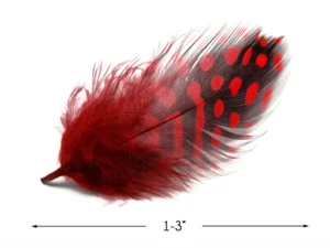 1 Pack - Red Guinea Hen Polka Dot Plumage Feathers Halloween Wedding Craft - Picture 1 of 10