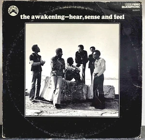 THE AWAKENING, Hear, Sense And Feel, 1972, Black Jazz Records, BJQD/9 US, VG+ - Imagen 1 de 4