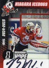 2014/15 Niagara IceDogs Autographs - BRANDON HOPE (g)